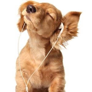 Meet your Posher, Richard